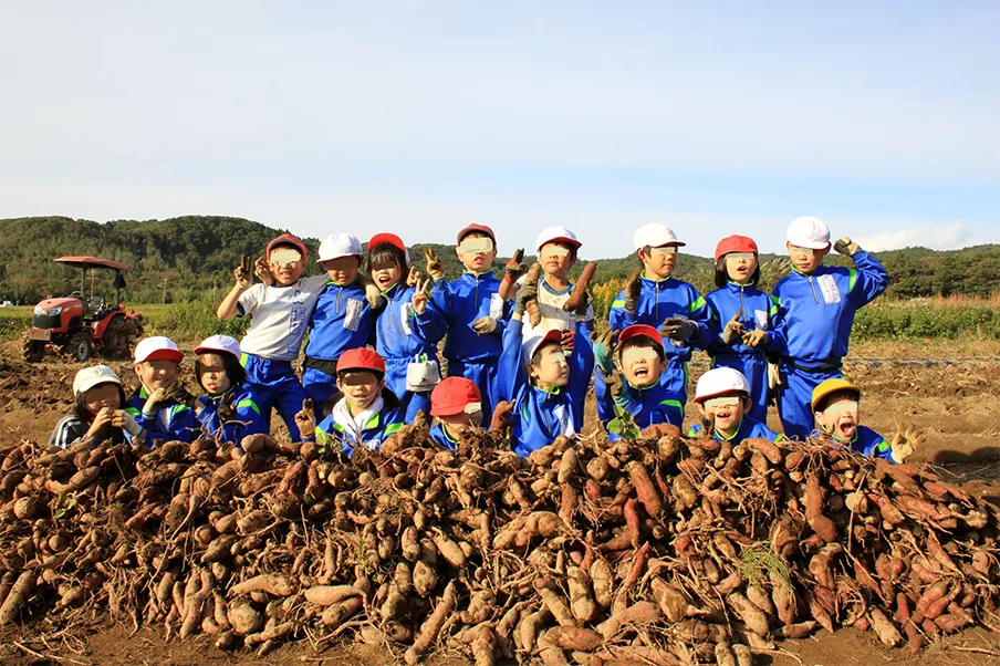 １，２年生活科「育てて食べよう小木の芋」