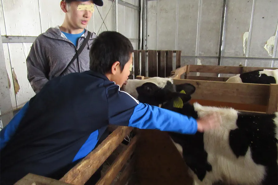 6年総合的学習「あこがれの道」